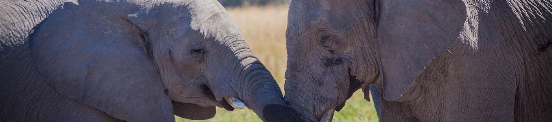 Photograph James Stevens: TRAFFIC