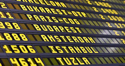 Securing Malaysian Skies – Combatting Wildlife Trafficking via Air