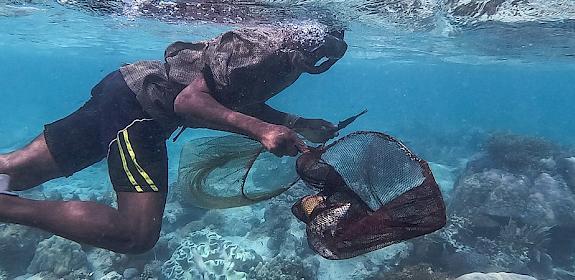 A snorkeller searching for ornamental fish in shallow waters. Photo: Nathalie Bertrams